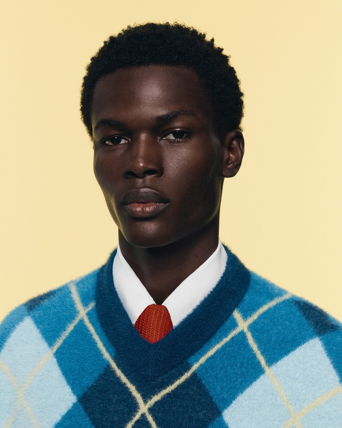SUÉTER VEST SHAGGY KNIT