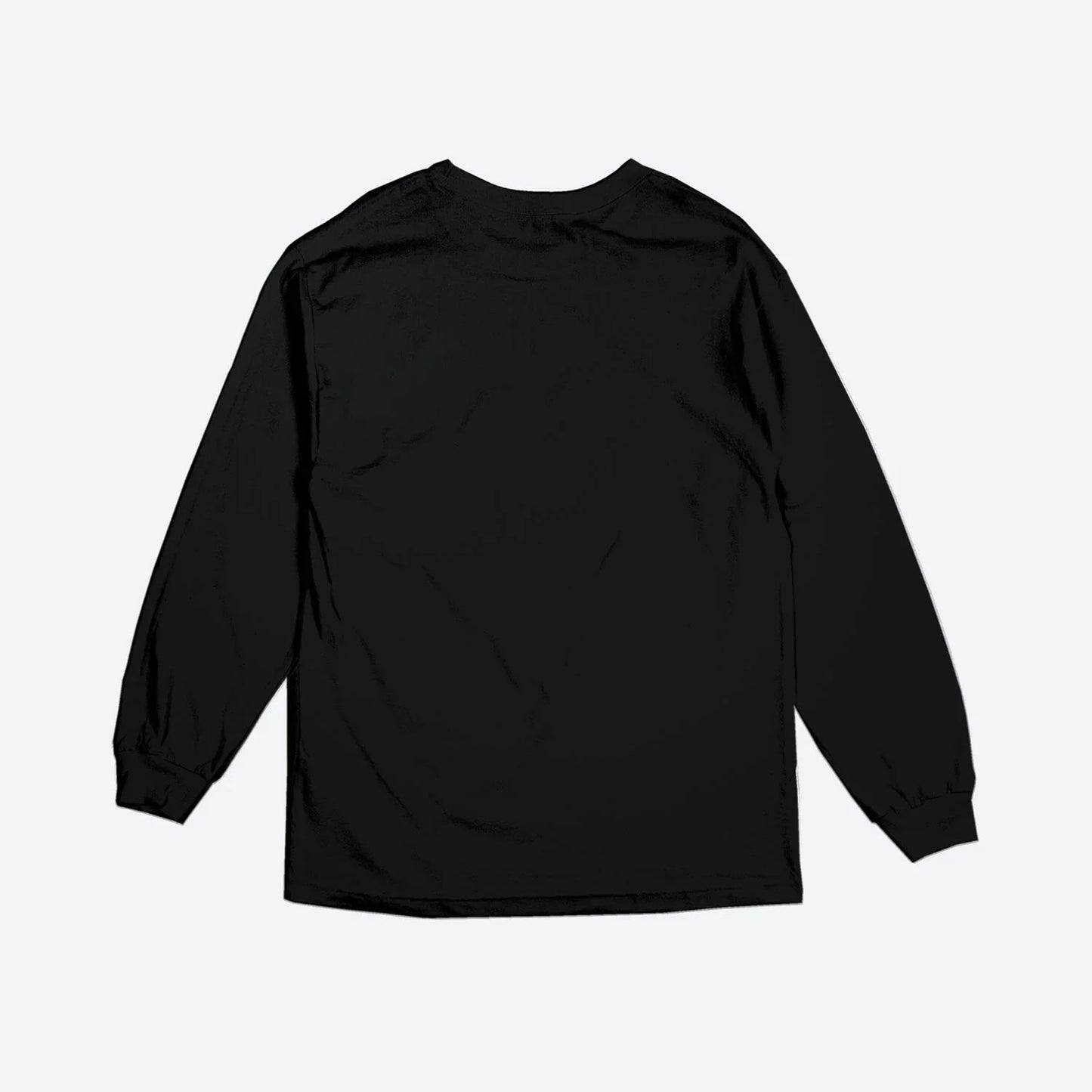 CAMISETA LONGSLEEVE WINGS