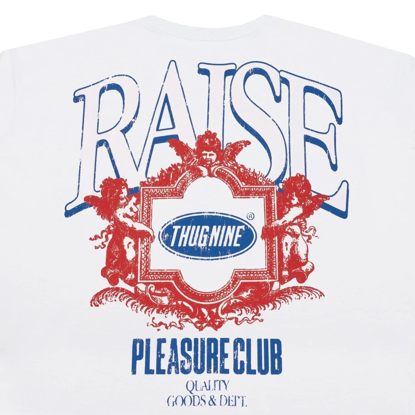 CAMISETA RAISE