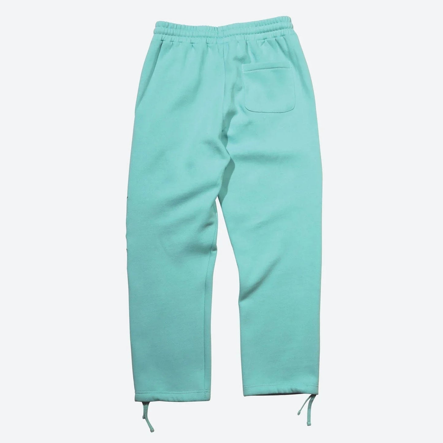 CALÇA WILDSTYLE EMBROIDERED FLEECE