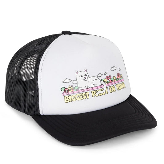 BONÉ NEIGHBORHOOD TRUCKER