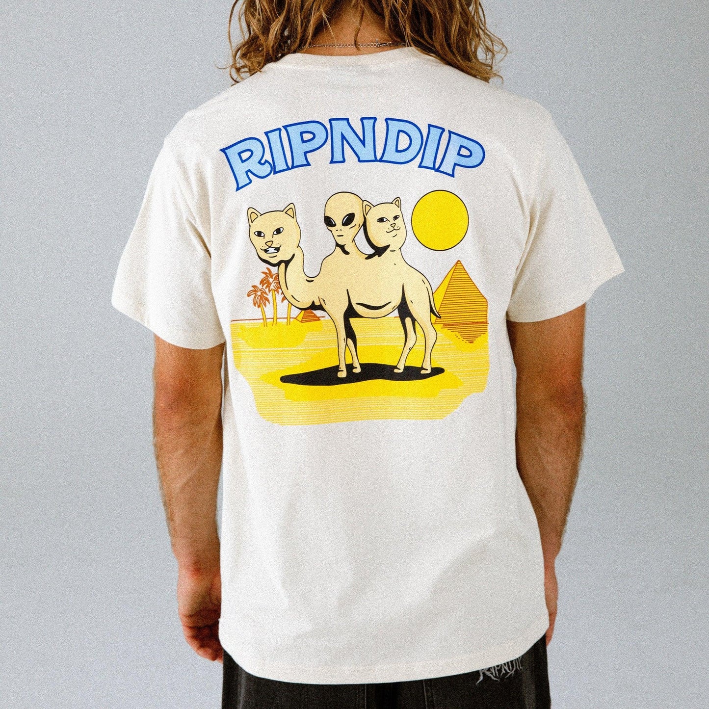 T-SHIRT BARNUM DARK