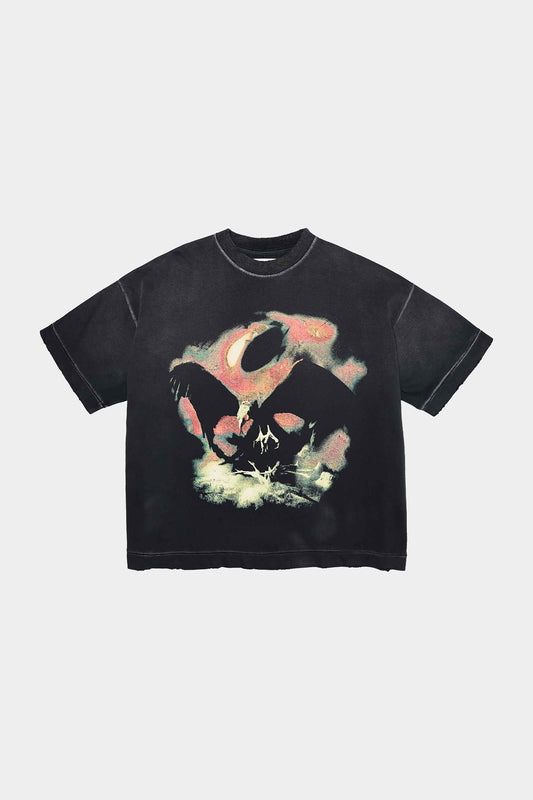 CAMISETA BOX LOGO DEATHBIRD