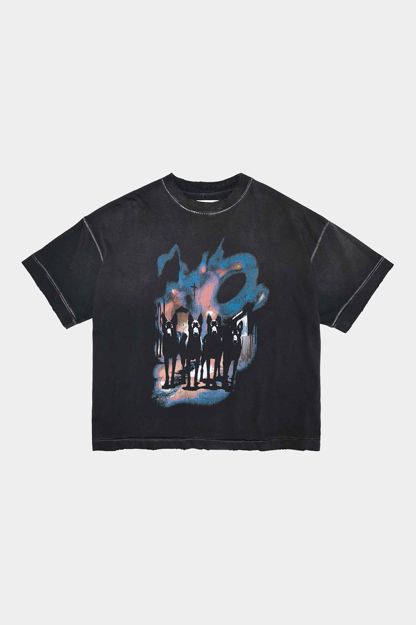 CAMISETA BOXED DOGTOWN