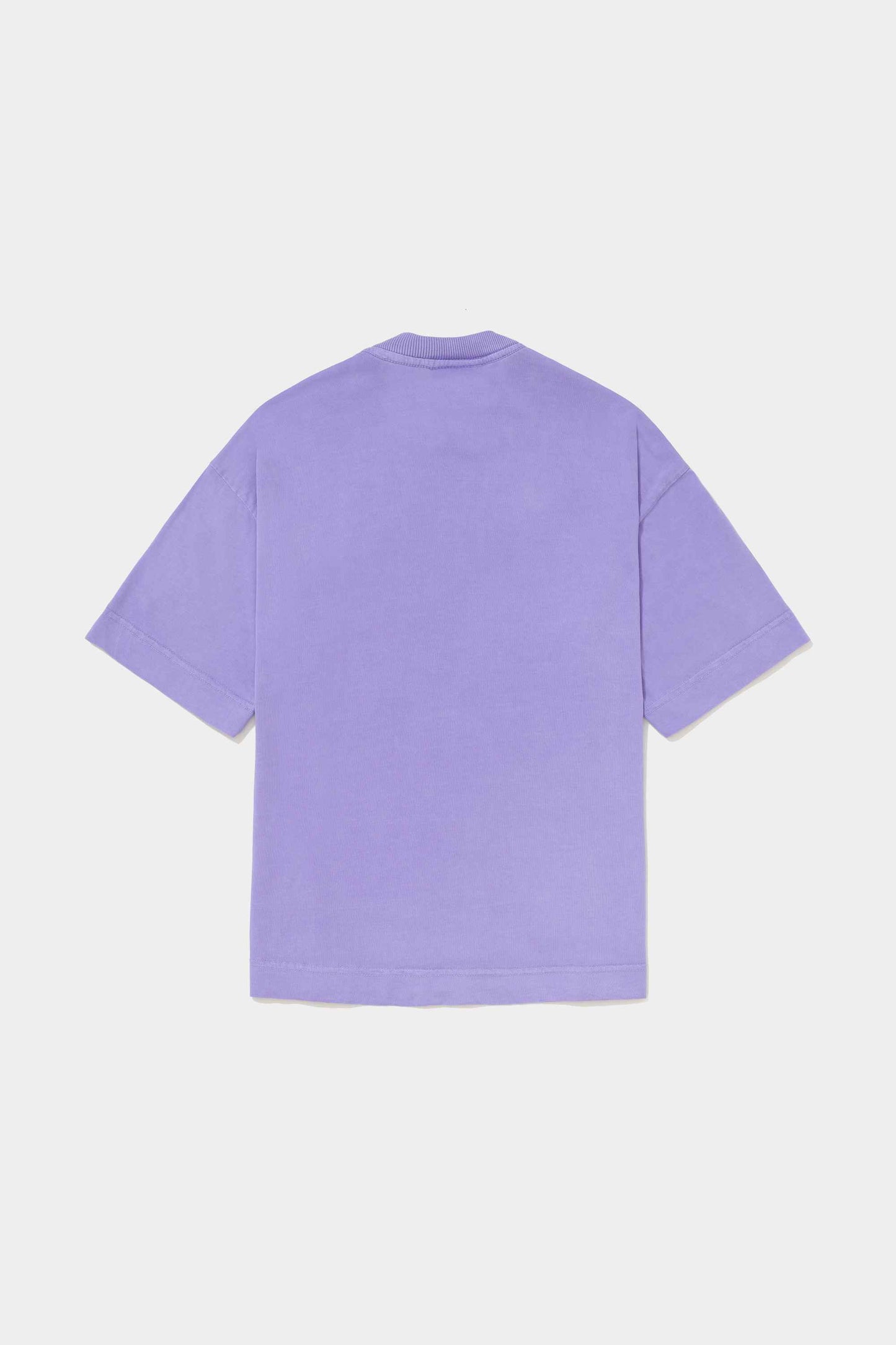 Camiseta Elo Em Comum Boxy Drywall (Lilac)